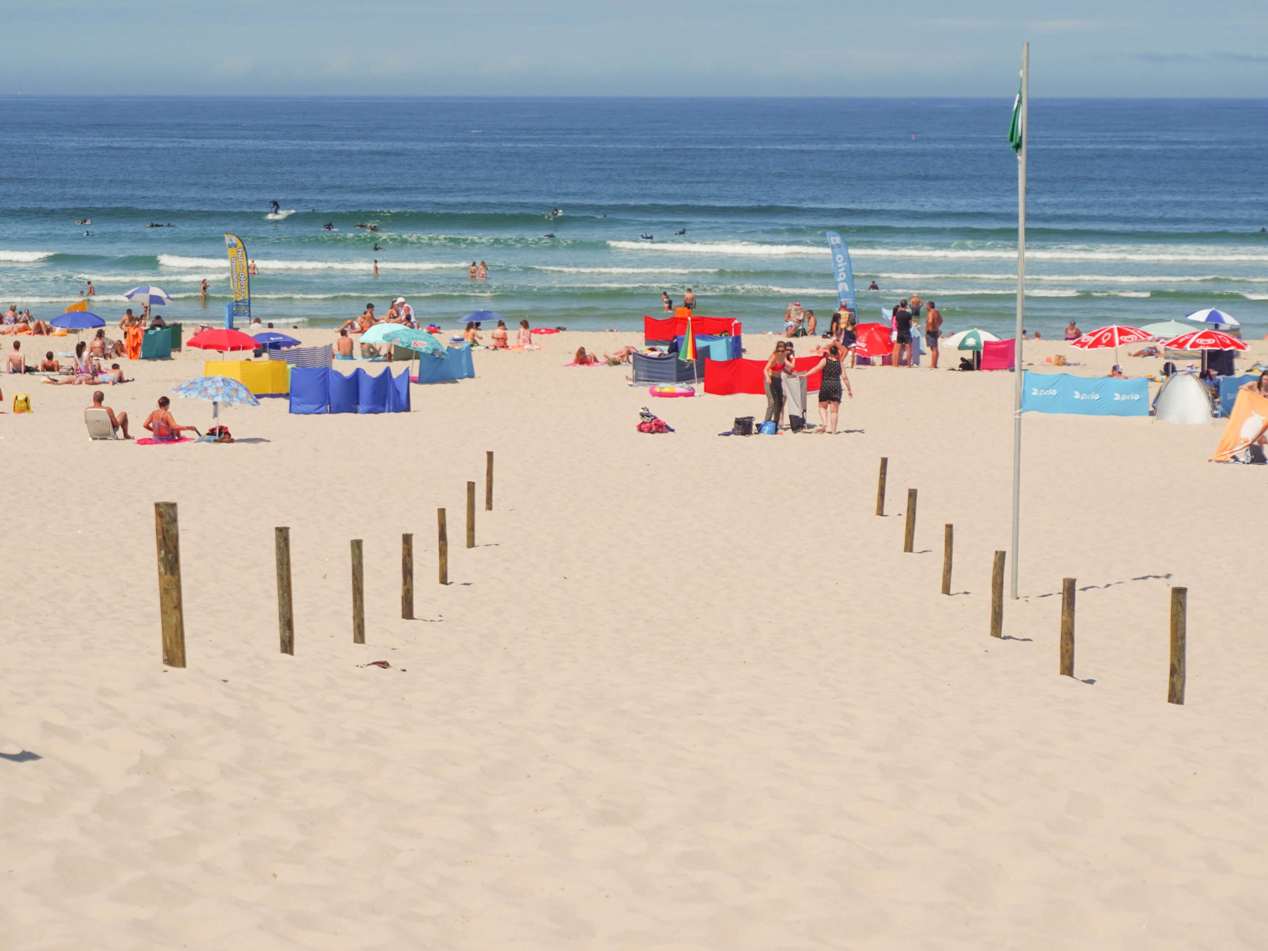 Câmara de Ílhavo garante 70 mil euros para requalificar sistema dunar das praias da Barra e Costa Nova