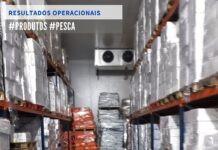 ASAE apreende mais de 5 toneladas de produtos de pesca congelados