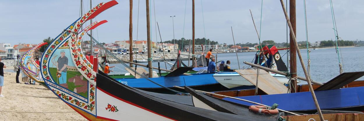 Oficializada a candidatura UNESCO do ‘Barco Moliceiro: Arte Carpintaria Naval da Região de Aveiro’