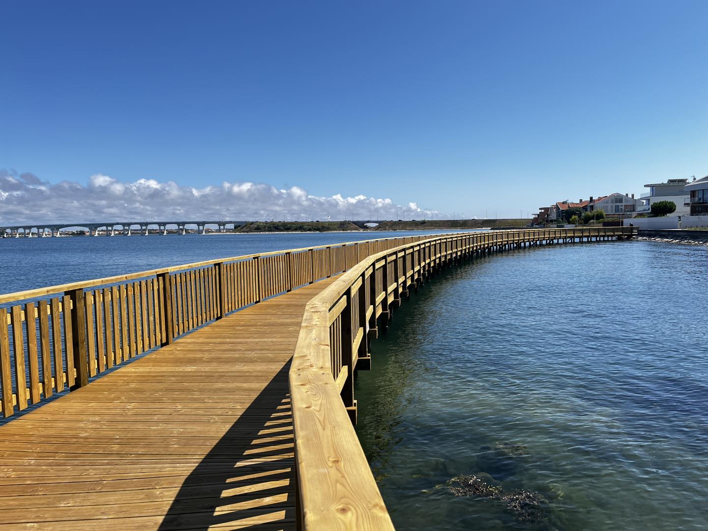 Praia da Barra: novo passadiço na ria já está aberto