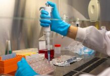 Universidade de Aveiro com elevado número de cientistas entre os mais influentes do mundo