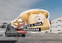 Universidade de Aveiro enterra cápsula do tempo para ser aberta daqui a 50 anos
