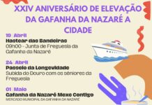 Gafanha da Nazaré: XXIV Aniversário de Elevação a Cidade assinalado com passeio ao Douro, artesanato, sopas e música