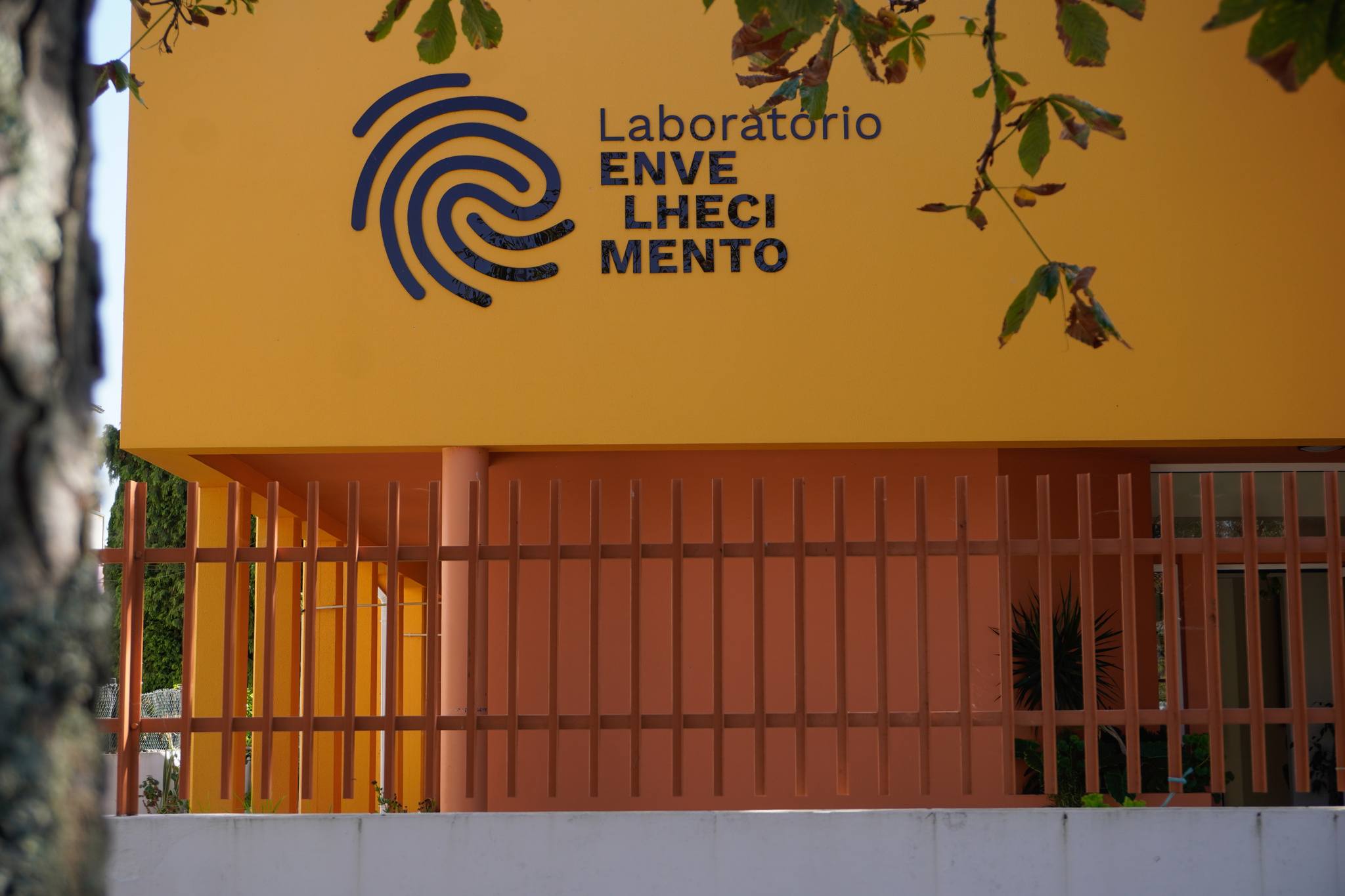 Grupo de Partilha no Apoio ao Luto regressa ao Laboratório do Envelhecimento em setembro