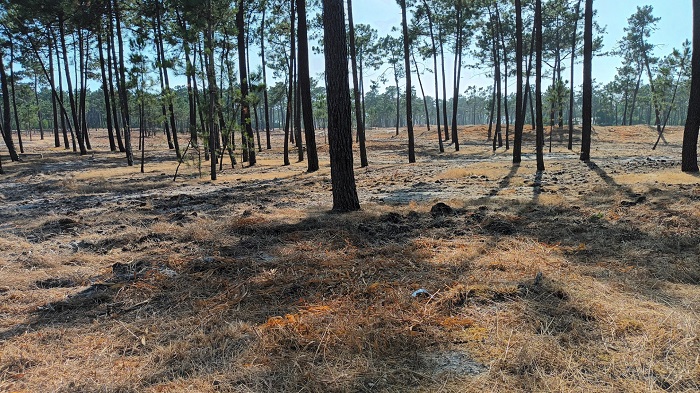 Ílhavo e empresa representante do Estado assinam acordo de proteção contra incêndios na Senhora dos Campos