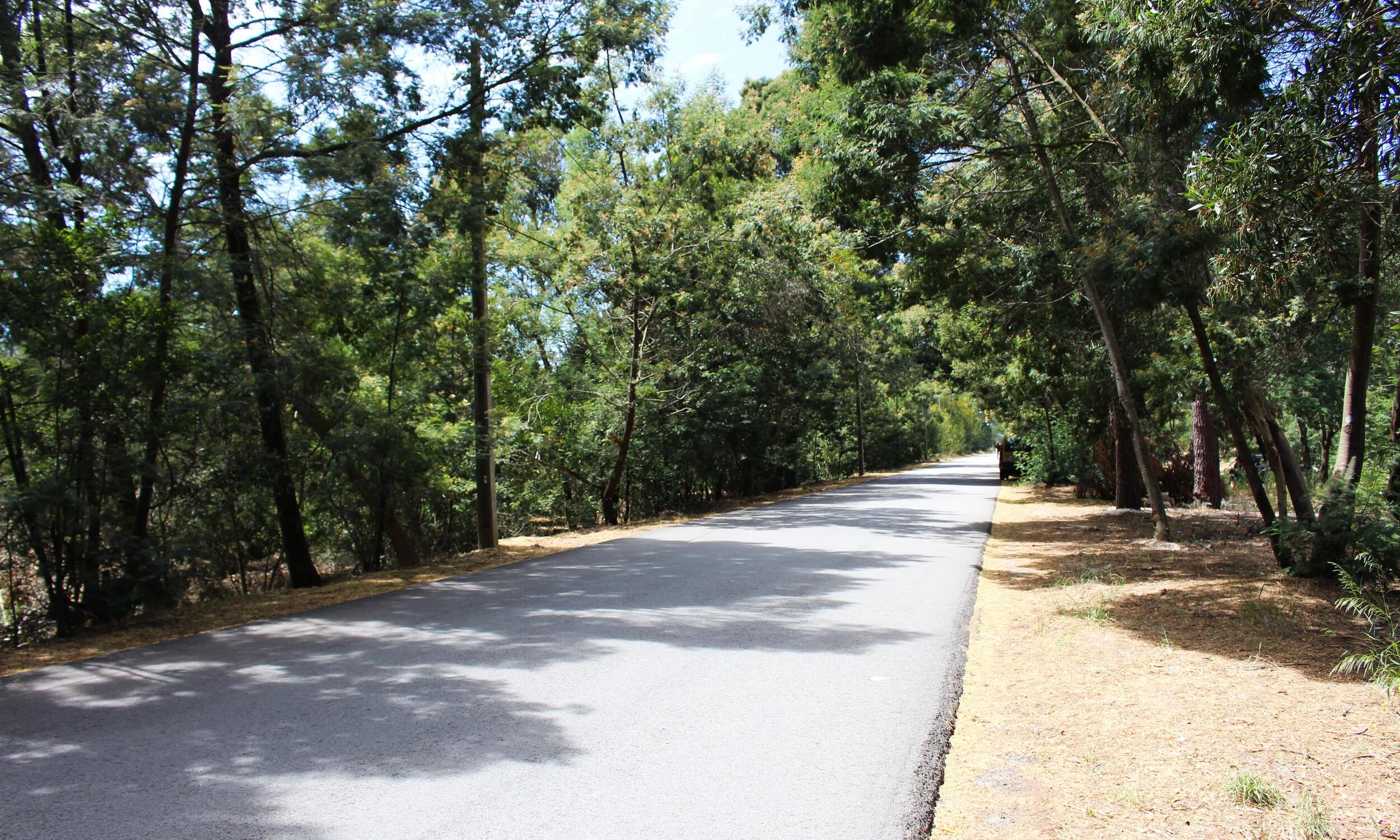 Autárquicas: CDU propõe Parque Verde Municipal na Senhora dos Campos