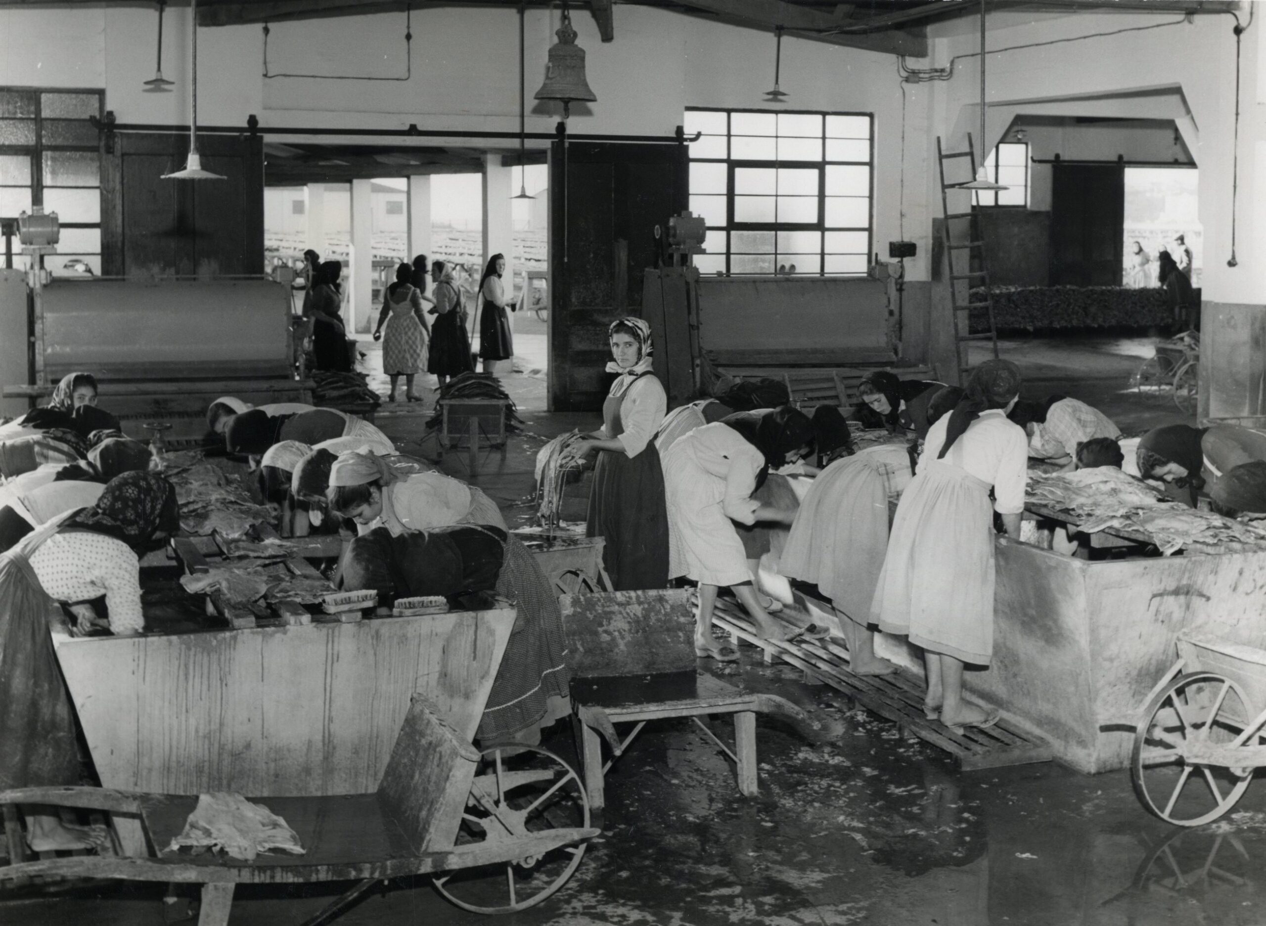 Museu Marítimo de Ílhavo assinala Dia Nacional do Mar durante quatro dias