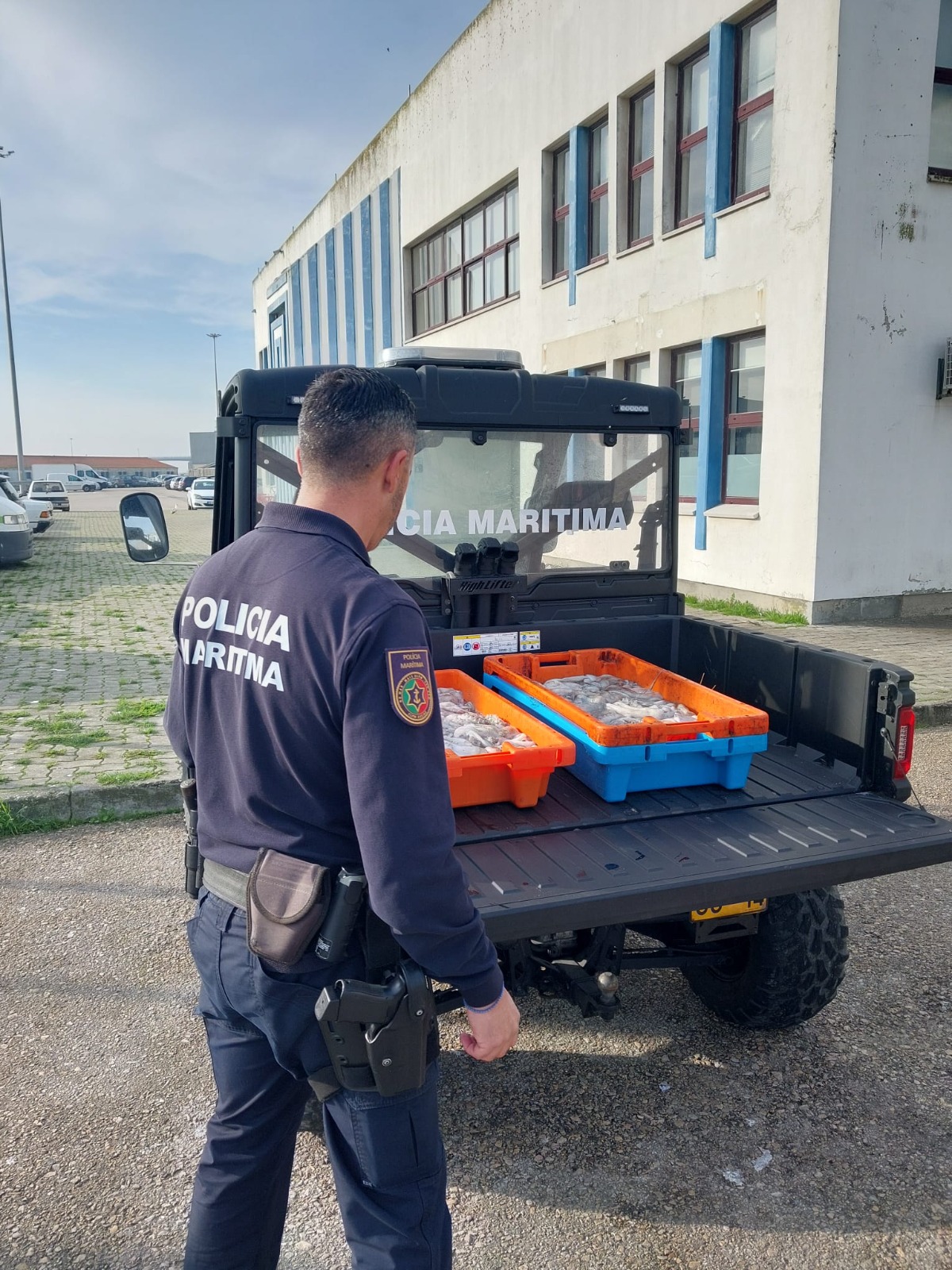 Polícia Marítima apreende 50kg de polvo na Gafanha da Nazaré
