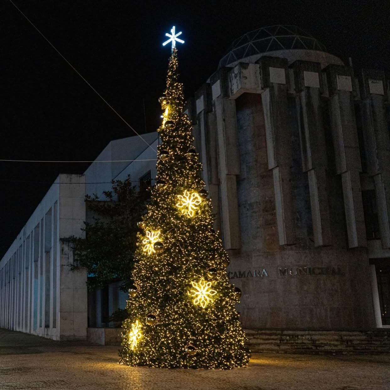 Iluminações de Natal em Ílhavo serão ligadas a 8 de dezembro