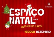 Espaço de Natal no Mercado de Ílhavo com workshops, música, teatro e cinema