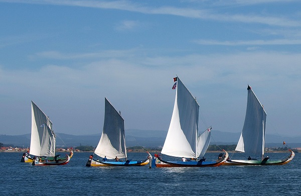Barco Moliceiro: candidatura aceite e inscrita na Lista do Património Cultural Imaterial da UNESCO