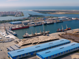 Teresa Cardoso tomou posse com presidente do Conselho de Administração dos Portos de Aveiro e Figueira da Foz