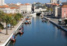 Movimento de Amigos da Ria de Aveiro vai votar dissolução em Assembleia Geral