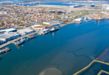 Corpo encontrado no terminal bacalhoeiro