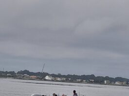 Travessia de barco entre a Gafanha da Encarnação e a Costa Nova já está a funcionar