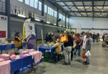 Lions Clube de Ílhavo realizam mais uma Feira da Saúde e Bem-Estar