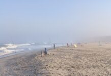 38.º Concurso Nacional de Pesca Desportiva de Mar: 122 pescadores nas praias da Barra e Costa Nova em mais uma edição organizada pela ACD “Os Ílhavos”